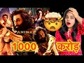 1000 Crore Lading - Animal Box Office Collection REACTION | Deeksha Sharma