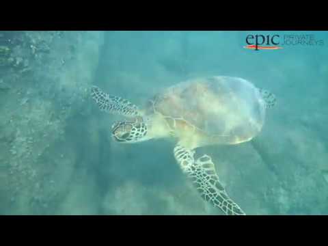 Epic Australia and Indonesia 2017