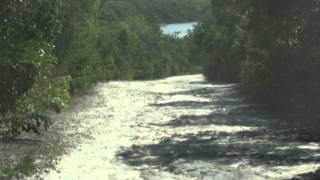 preview picture of video 'Road to Lighthouse Beach, Eleuthera Bahamas'