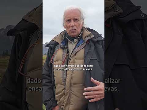 El Maitén, un eslabón clave de la cadena frutillera