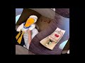 Donald Duck And The Mouse Trap Effects Round 1