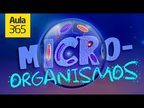 ¿Qué son los Microorganismos? | Videos Educativos Aula365