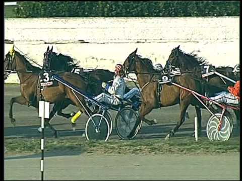 Trotto 20/01/2017 - 2ª corsa