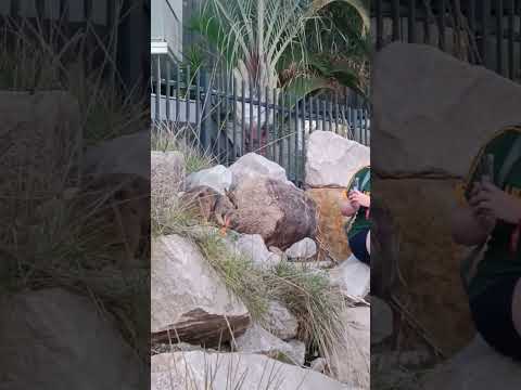 Magnetic Island – Where Nature Meets You Gently