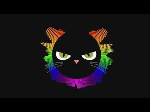 DJ Afrojack & DISTO vs Avicii x Skrillex - My City vs Levels [JONEL EDIT]