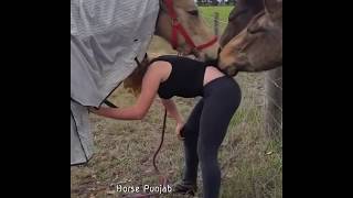 Dhakka  Horse vs Girl