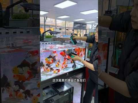 Strong magnetic aquarium cleaning brush #magnetic