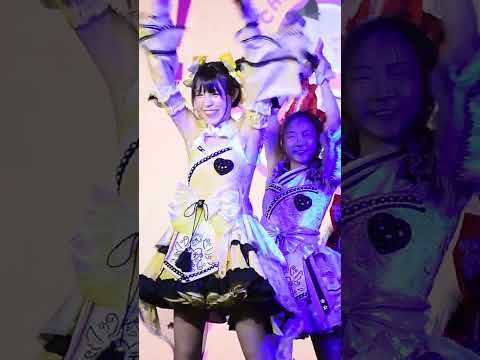 Nekokaburi Nikushokukeijoshi - Vasa Castella [Fancam] [29.07.23] AIDORU FESTIVAL @MBK