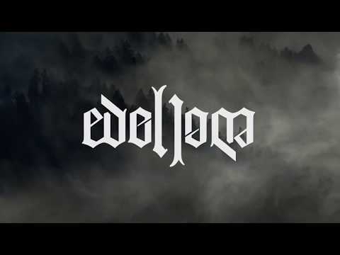 Edellom - Torn Lyrics Video
