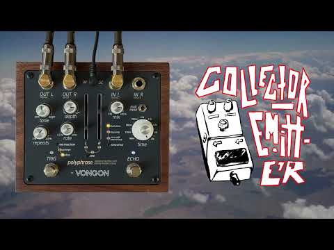 Vongon Polyphrase Stereo Delay image 6