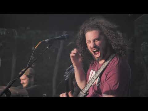 Pigeons Playing Ping Pong - "King Kong" [Official Video]