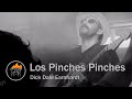 Los Pinches Pinches - Dick Dale Earnhardt (Half Way Home Session)