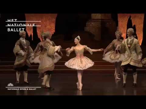 Maia Makhateli Sleeping Beauty Rose Adagio