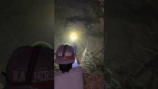 Download lagu Got a spot with lots of fish, shot straight away 🤤 #601 #KOOKIKO mp3