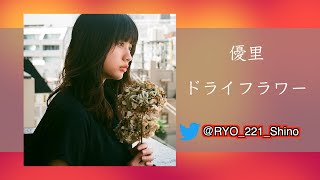 【ドライフラワー】カラオケ 歌ってみた