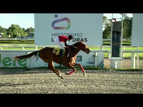 220311 c08 - BAJO PALABRA - HIPODROMO LAS PIEDRAS