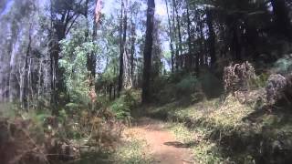 preview picture of video 'Team Wombat Mountainbike - Buxton Australia Downhill Cut'