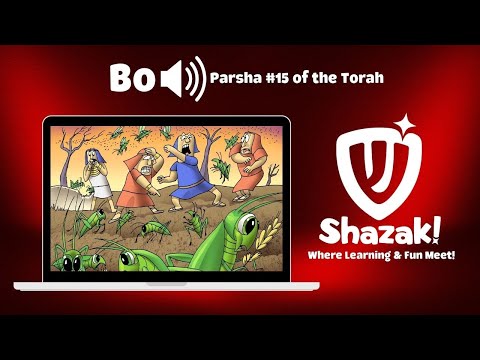 A Taste of Shazak! - Bo