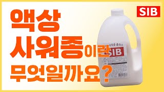 영상썸네일