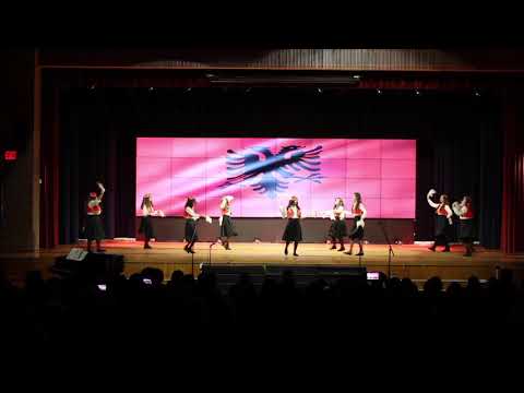 New Dorp High School: International Fair (Albanian)