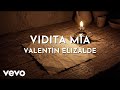 Valentín Elizalde - Vidita Mía (Visualizer)