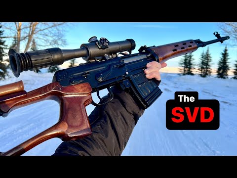 SVD | Why it's Not an AK Sniper & How to Use Effectively