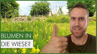 Du hast nur JETZT die Chance: Wiese vielfältiger machen – oder 1 Jahr warten!