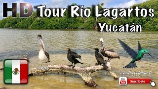 preview picture of video 'TOUR RÍO LAGARTOS '