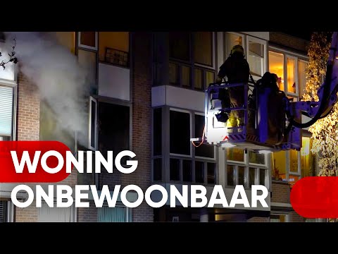22-01-2023 Enkhuizen - brand flat