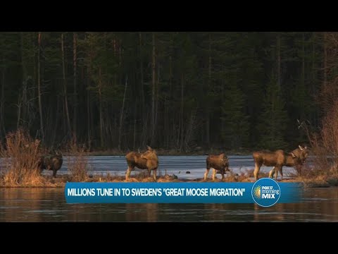 Entertainment News: April 17 2025