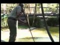Crocodile Hunter Caspar The White Crocodile 1 4