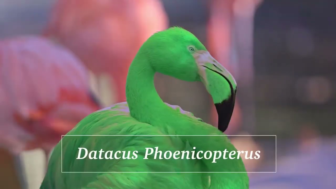 Do Data Differently with Qlik