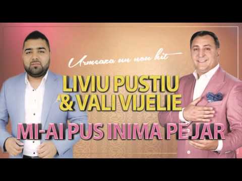 LIVIU PUSTIU  si VALI VIJELIE - MI-AI PUS INIMA PE JAR  | Official Audio