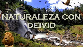 ✔ ACTUALIZACIÓN: Mascotas, Animales y Naturaleza ahora es Naturaleza con Deivid 🦍🌵⛰️