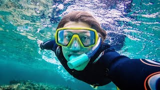 72 ore a Palma de Mallorca 🏝