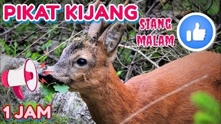 Download lagu SUARA PIKAT KIJANG PALING AMPUH(SIANG MALAM)👍 mp3 Download lagu SUARA PIKAT KIJANG PALING AMPUH(SIANG MALAM)👍 mp3