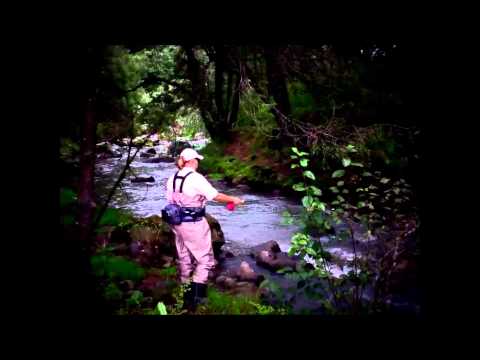 VIDEO Pasión por la pesca de truchas en río, con Yaisa Corrales