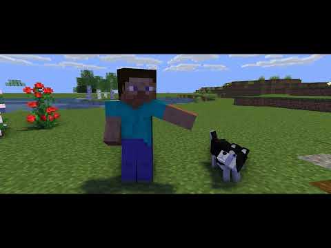 Monster School : poor dog  - Minecraft Animation