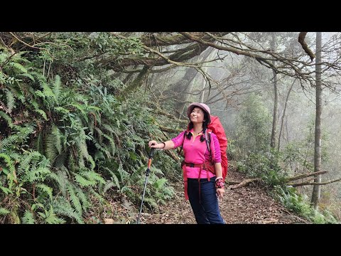 ❤️Registro das três belezas celestiais das montanhas em Xilian ~🟣 1º ️⃣Tian ~ Cordilheiras incríveis e emocionantes ~ 112.10.20 Feito por Lin Chun Mei (Nantou Xinyi Town Dili Village ➡️ Perto de Jiping), Espera-se que seja uma beleza celestial em o futuro, reputação Yuelong, beleza paisagística.