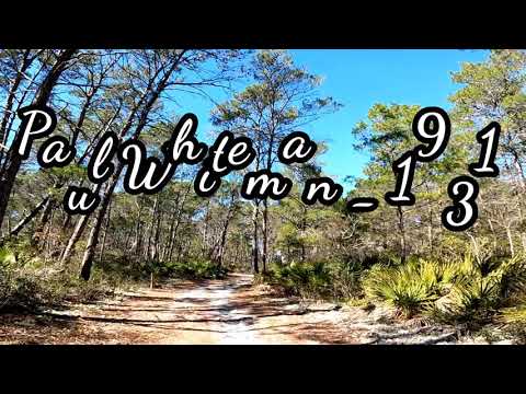 Paul Whiteman - 1931 - 90 years ago