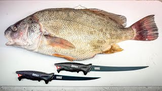 How to Fillet a Freshwater Drum (And Why You Should!)