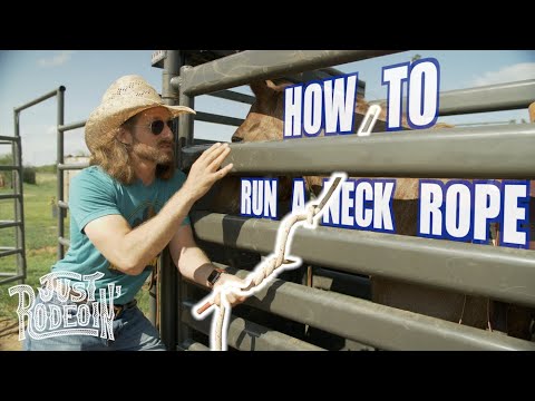 How to run a neck rope - Just Rodeoin 16