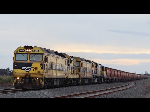Amazing 5 Locos on SSR Grain