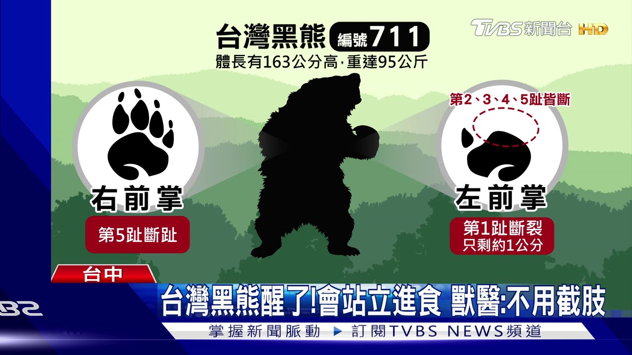 台灣黑熊醒了!會站立進食 獸醫:不用截肢