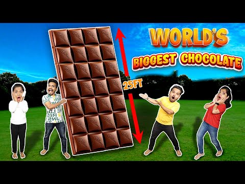 Making World's Biggest Chocolate | 50 LAKH RS. CHOCOLATE | Hungry Birds