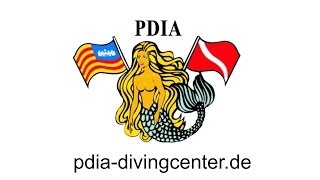 Mallorca/Menorca Sightseeing PDIA