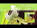 Popnoname - Wandel 'Pop Ambient 2006' Album