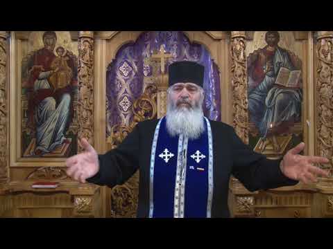 Vindecarea fiului lunatic - Duminica Sf. Ioan Scararul  - 18 03 2018