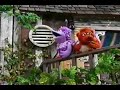 Barney Friends Once A Pond A Time