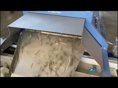 REBLER LGU 151 P-L - mint, SRB 2022